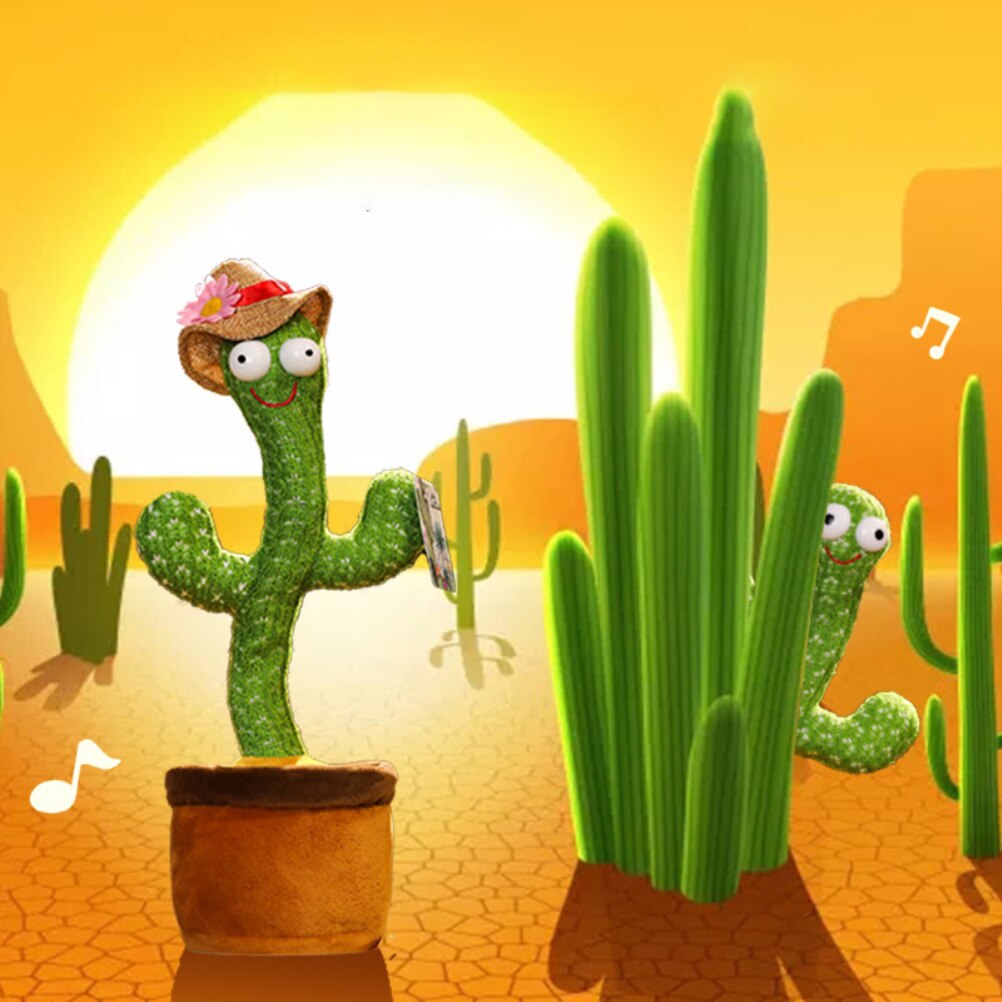 cactus music hours